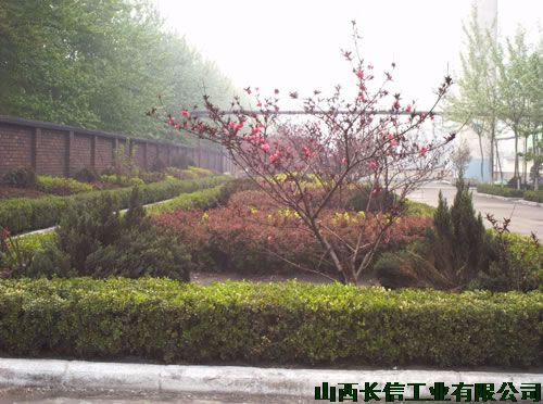 ���C(j��)��Ȼ�ļt���G��